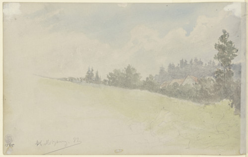 Sloping meadow, 1882. Creator: Jacob Hoffmann.