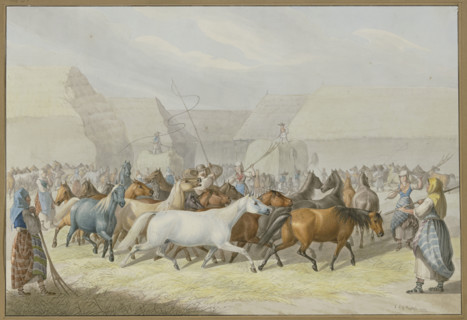 Depiction of threshing with horses in Syrmia (Slavonia), 1832. Creator: Johann Erdmann Gottlieb Prestel.