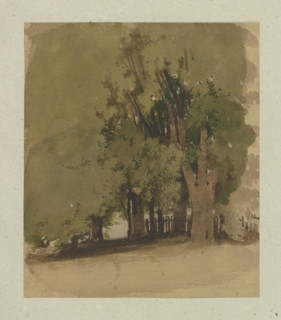 Old trees at a fence, 1855. Creator: Carl Theodor Reiffenstein.