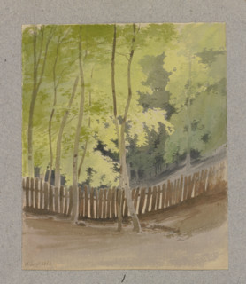 Wooden fence through a wooded valley floor, 1856. Creator: Carl Theodor Reiffenstein.