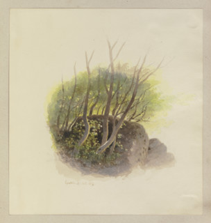 Piece of a forest with a rock, 1892. Creator: Carl Theodor Reiffenstein.