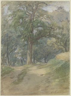 Sunny forest path, 1862. Creator: Jakob Dielmann.