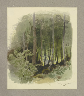 Forest near Zwingenberg on the Neckar River, 1850. Creator: Carl Theodor Reiffenstein.