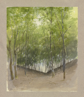 Woodland scene in a valley bottom, 1859. Creator: Carl Theodor Reiffenstein.