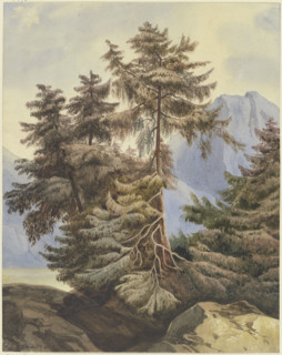Three fir trees in the mountains, 1833. Creator: Ludwig Daniel Philipp Schmidt.