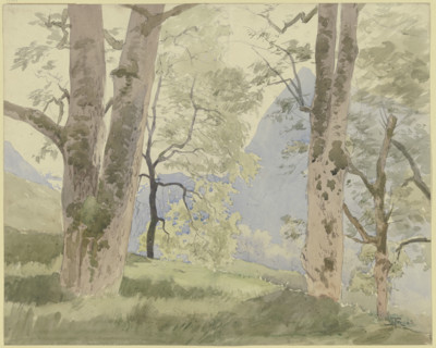 Black Forest landscape: view from the edge of the forest to the mountains, 1862. Creator: Hans Thoma.