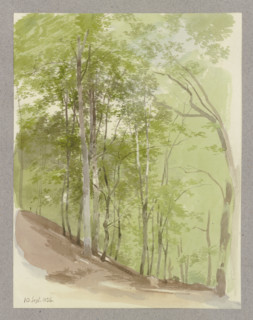 Wooded slope, a wild boar in the middle ground, 1856. Creator: Carl Theodor Reiffenstein.