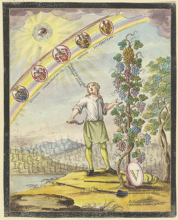 Boy with a pruning knife in front of a grapevine, c1740-1788. Creator: Johann Esaias Nilson.