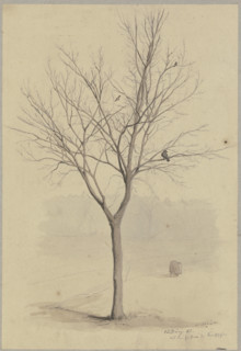 Leafless tree with birds, 1860. Creator: Hans Thoma.