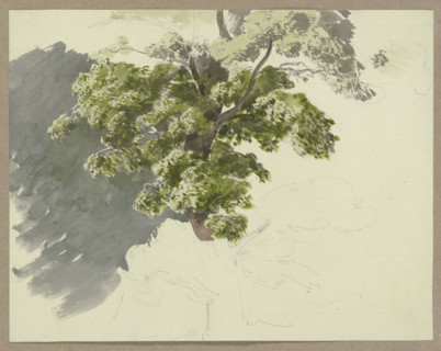 Tree in the wind, c1840-1890. Creator: Carl Theodor Reiffenstein.