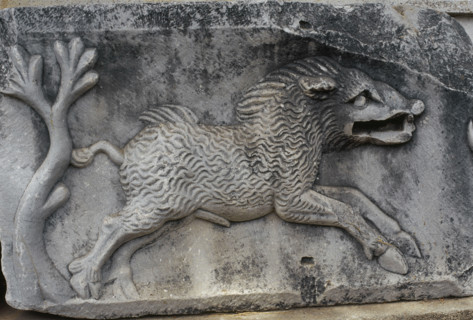 Fragment of a Roman relief with depiction of a wild boar, Museum of Miletus, Turkey, 1999.  Creator: LTL.