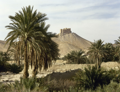 The Oasis of Palmyra, Syria, 1999.  Creator: LTL.