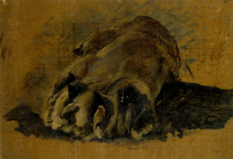 Oil sketch of a lion's paw, c1820s. Creator: John Frederick Lewis.