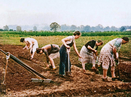 'Digging and Planting', 1943. Creator: Unknown.