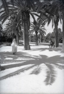 Parc Lyautey, Casablanca, Morocco, c1955. Creator: Arthur Charles Kirby Ware.