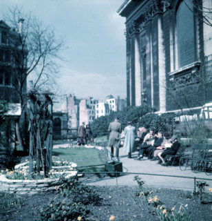 Daffodils in St Paul's Cathedral Churchyard, London, c1955. Creator: Arthur Charles Kirby Ware.