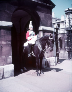Mounted Horse Guard, Whitehall, London, c1955.  Creator: Arthur Charles Kirby Ware.