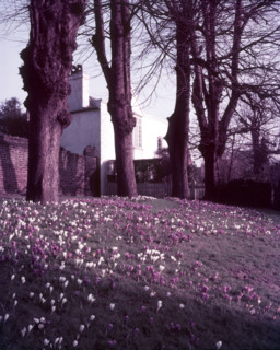 Spring on Hampstead Heath, London, c1955. Creator: Arthur Charles Kirby Ware.