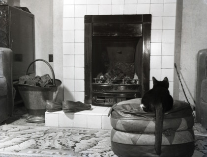 Cat in front of a coal fire, c1955. Creator: Arthur Charles Kirby Ware.