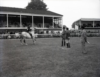 Richmond Horse Show, Surrey, c1955. Creator: Arthur Charles Kirby Ware.