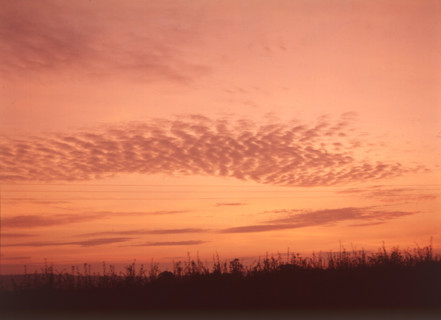 Sunset near Tonbridge, c1955. Creator: Arthur Charles Kirby Ware.