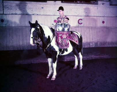 State drummer on horse, London, c1953.  Creator: Arthur Charles Kirby Ware.