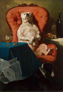 Pug Dog in an Armchair, 1857. Creator: Alfred Dedreux.