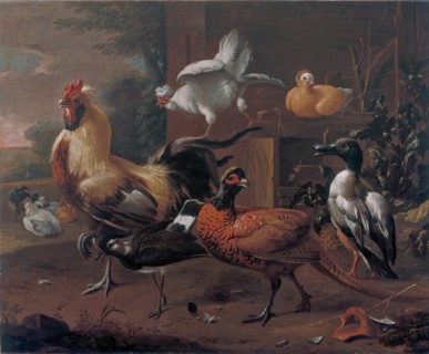 Poultry-yard, 1650. Creator: Melchior d'Hondecoeter.