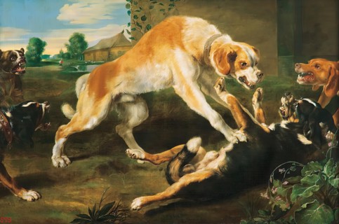 Fighting Dogs, 1700. Creators: Paul de Vos, Frans Snyders.