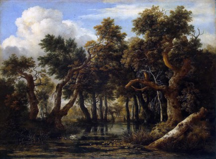 A Wooded Marsh, 1665. Creator: Jacob van Ruisdael.