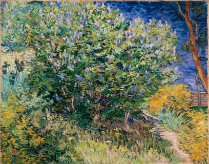 Lilac Bush, 1889. Creator: Vincent van Gogh.