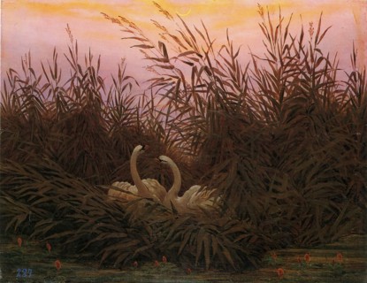 Swans in the reeds at the first dawn, 1832. Creator: Caspar David Friedrich.