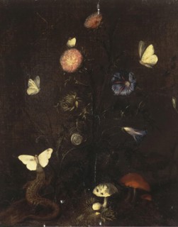 Flowers, Lizard and Butterflies, 1660. Creator: Christian Jansz Striep.