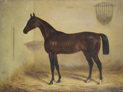 Magnifique Bay Horse, 1853. Creator: Alexander Schwabe.