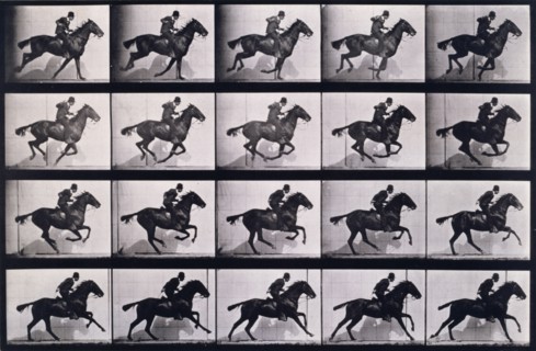 Gallop, 1872-1885.   Creator: Eadweard J Muybridge.