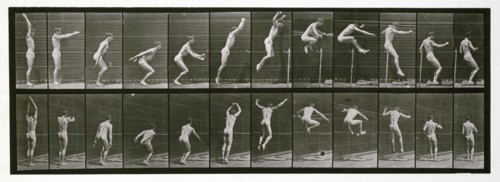 Jumping, 1872-1885.  Creator: Eadweard J Muybridge.