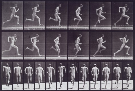 Running at full speed, 1872-1885.  Creator: Eadweard J Muybridge.