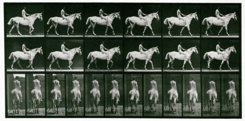Walking, 1872-1885.  Creator: Eadweard J Muybridge.