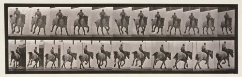 Gallop, 1872-1885.  Creator: Eadweard J Muybridge.