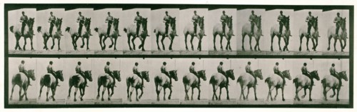 Trotting, bareback, 1872-1885.  Creator: Eadweard J Muybridge.