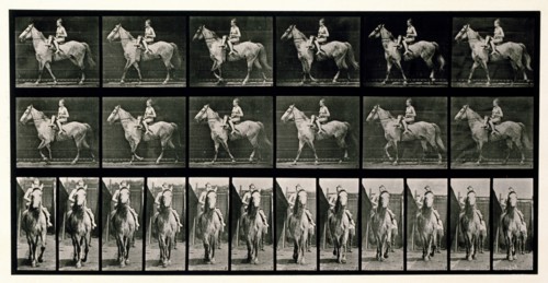 Walking, 1872-1885.  Creator: Eadweard J Muybridge.