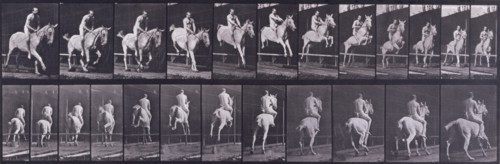 Jumping a hurdle, 1872-1885.  Creator: Eadweard J Muybridge.