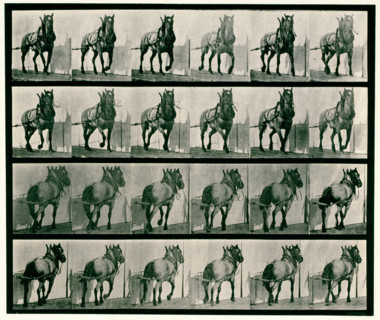 Hauling, 1872-1885.  Creator: Eadweard J Muybridge.