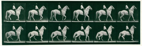 Walking, 1872-1885.  Creator: Eadweard J Muybridge.
