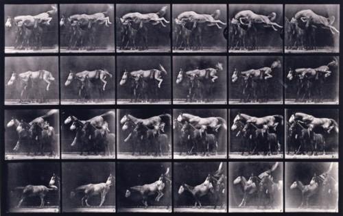 Jumping over three horses, 1872-1885.  Creator: Eadweard J Muybridge.