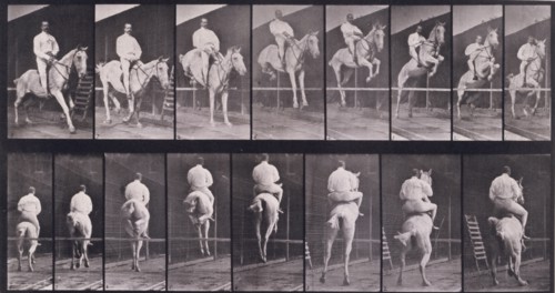 Jumping a hurdle, 1872-1885.  Creator: Eadweard J Muybridge.