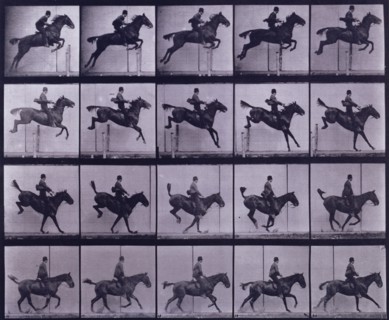 Jumping a hurdle,  1872-1885. Creator: Eadweard J Muybridge.