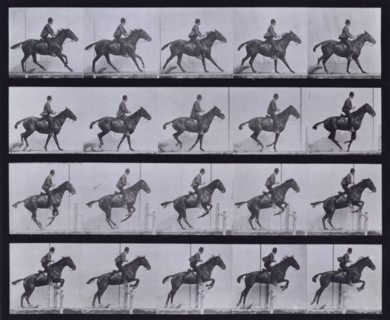 Jumping a hurdle, 1872-1885.  Creator: Eadweard J Muybridge.