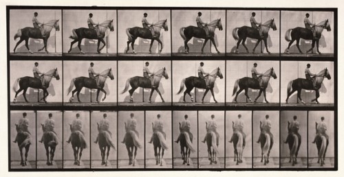 Walking, 1872-1885.  Creator: Eadweard J Muybridge.