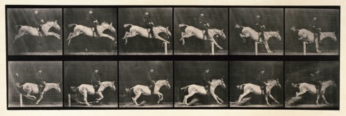 Jumping a hurdle, 1872-1885. Creator: Eadweard J Muybridge.